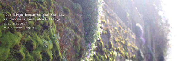 im_conti Profile Banner