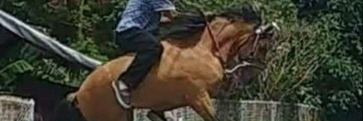 CFGarza1's profile banner image