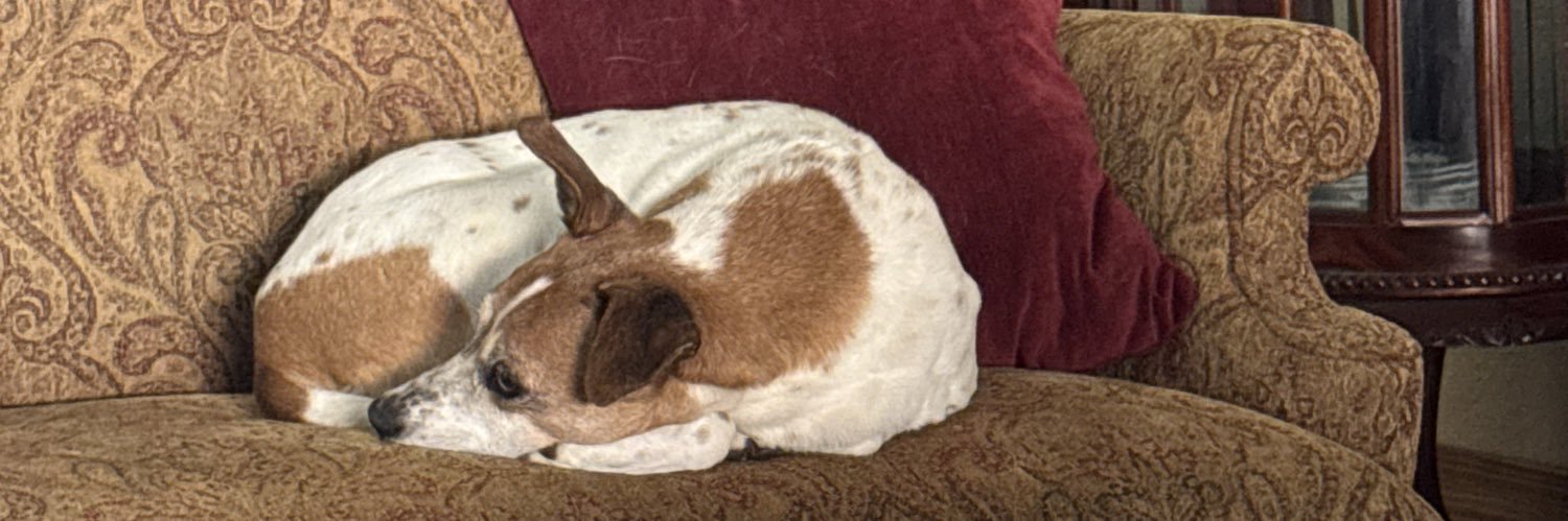 Spencer’s Mom banner