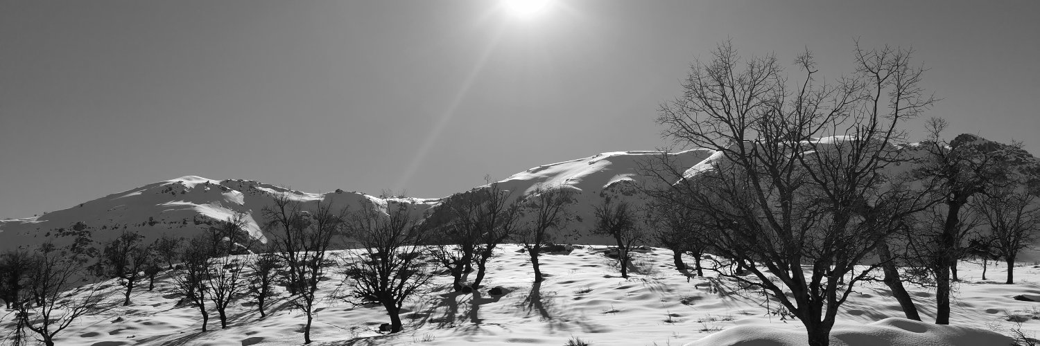 tornad1981's profile banner image