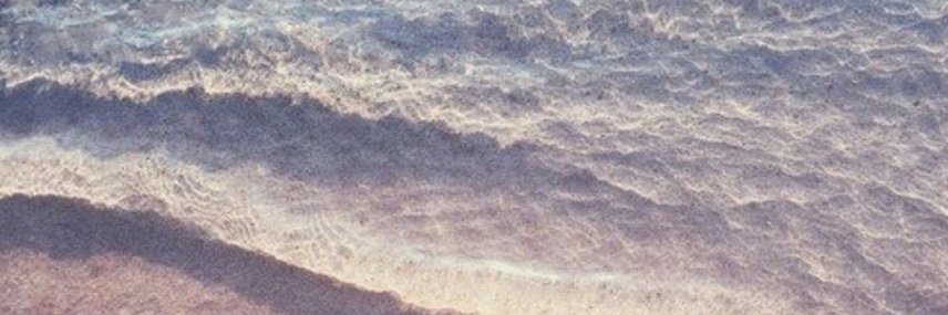AllisonNBarton's profile banner image