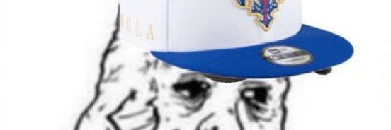 Pels Fan banner