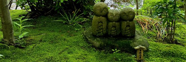 n_kenkyuu2 Profile Banner