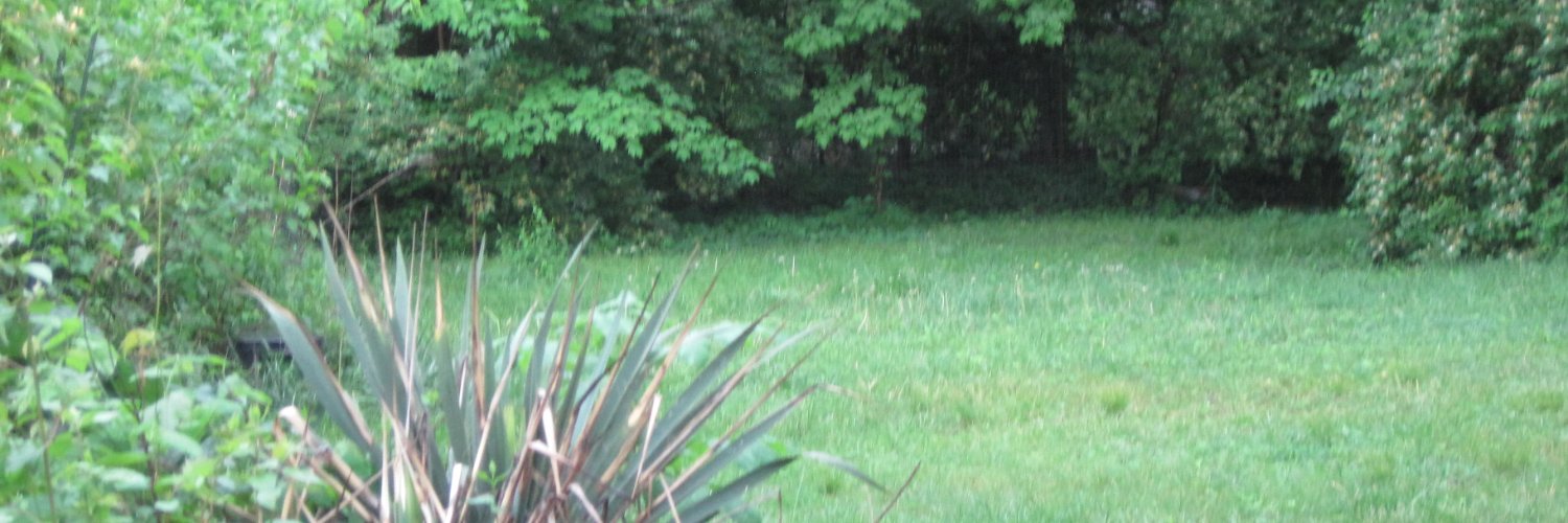 Weber X banner
