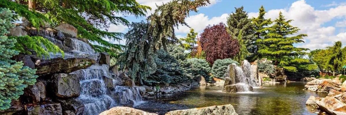 Dixie Lawrence 🇺🇸🇮🇱 banner