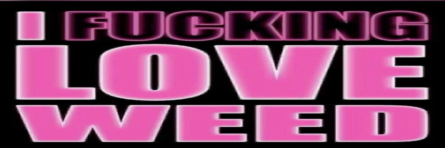 ໊ nini ໒꒱ * ˚. banner