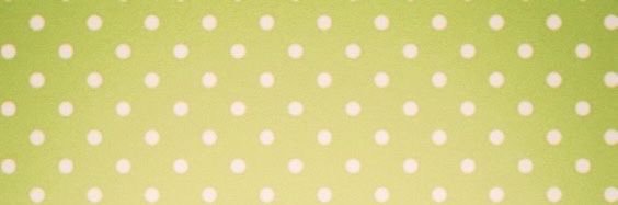 ➜ eleanor 🐞 TEAM FOSSIL !!!'s banner