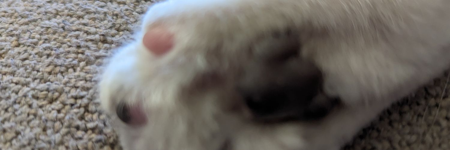 KevinisThinking's profile banner image