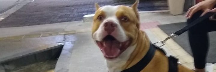 _matheusbrum's profile banner image