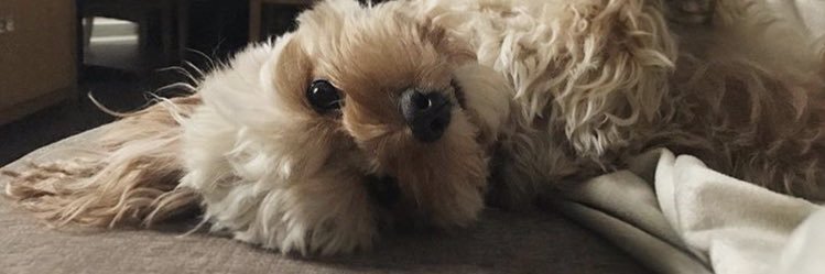 cassy_richh's profile banner image