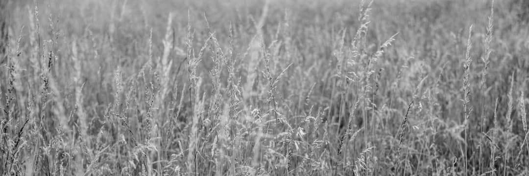 JamesWayling's profile banner image