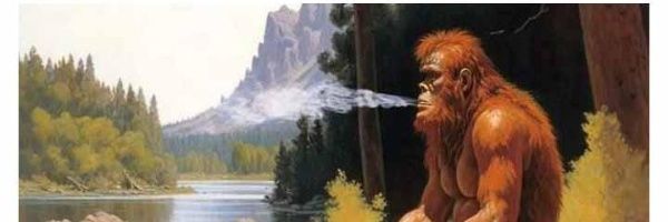 TannerSC17's profile banner image