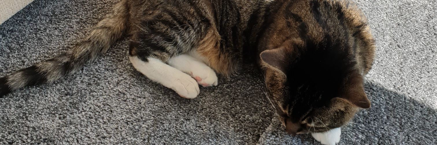 millsey's profile banner image