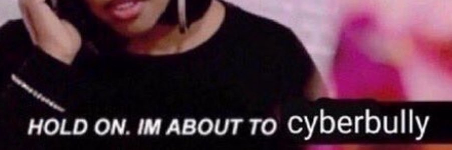 big fat the corgi fan club banner