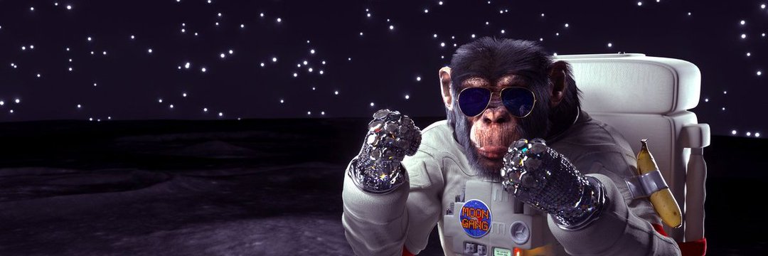 Wayne521G's profile banner image