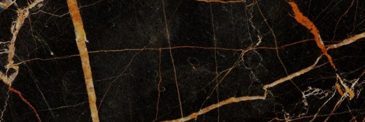 shadowsforlight's profile banner image
