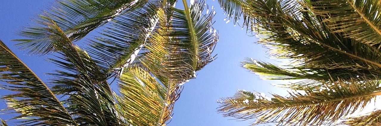 macadelb's profile banner image