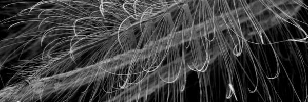 richhalfpenny Profile Banner