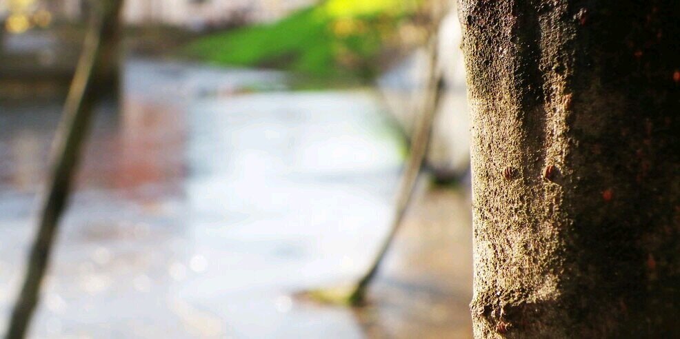 Tracy1684's profile banner image