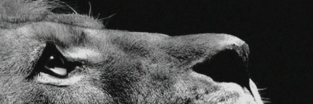 068_soares's profile banner image
