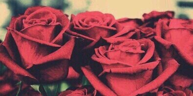 I_AM_PHUTi's profile banner image