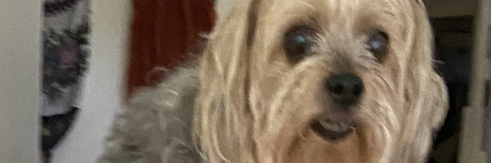diek0ta's profile banner image