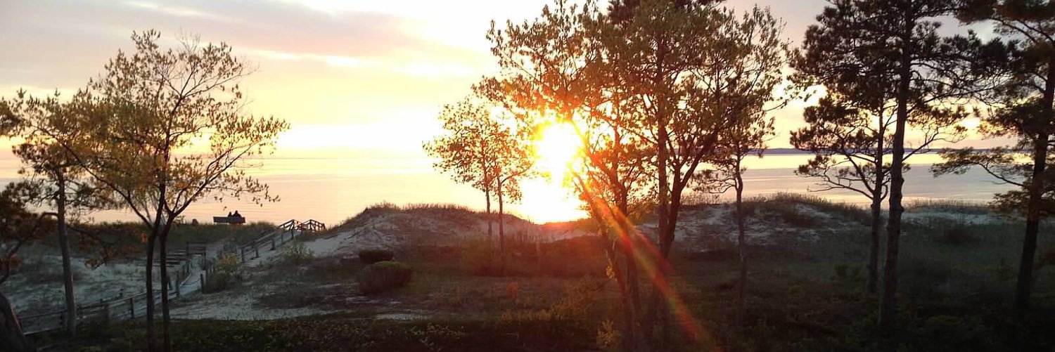 JennyMBrenner's profile banner image