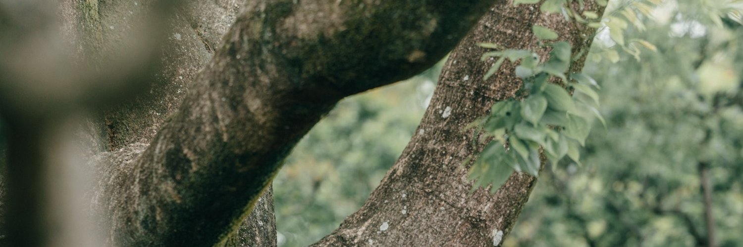 notremames's profile banner image