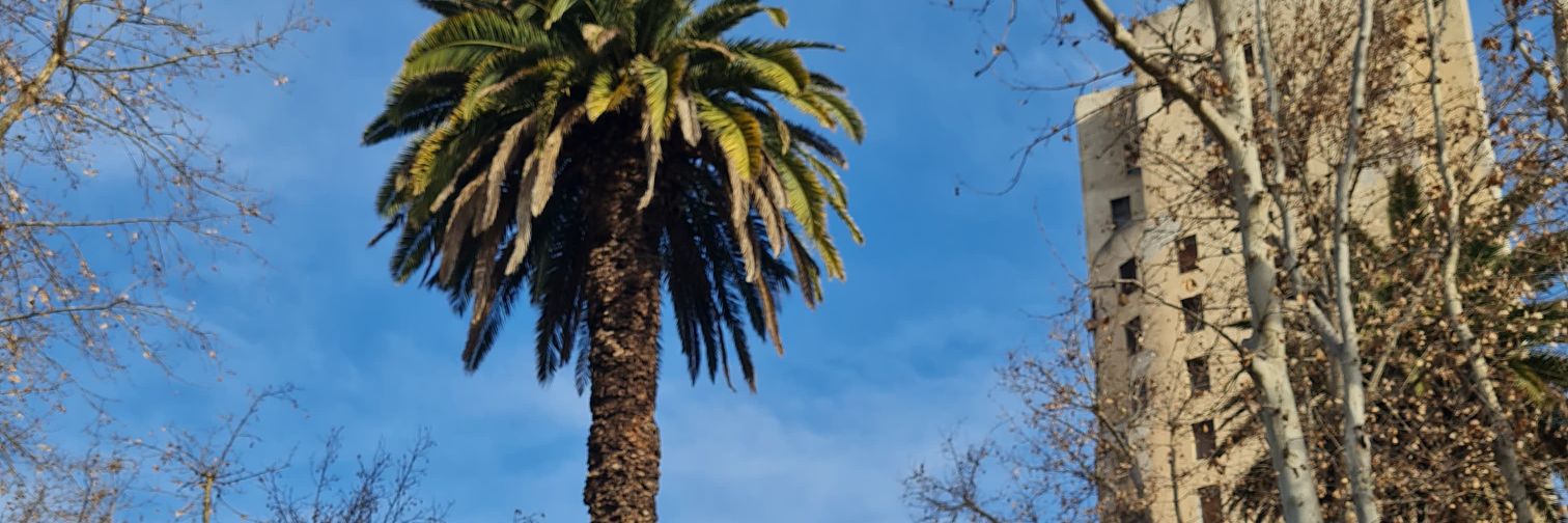 puchitosensible's profile banner image