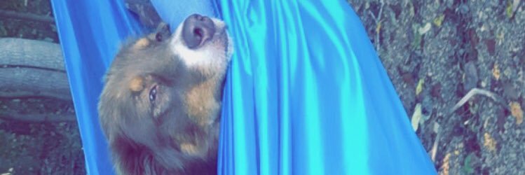 yourfaveging's profile banner image