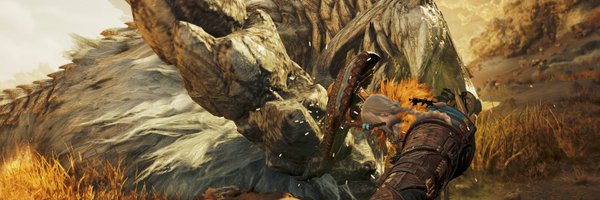 MONSTERHUNTERL9 Profile Banner