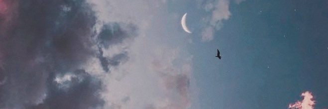 FabioZangare's profile banner image