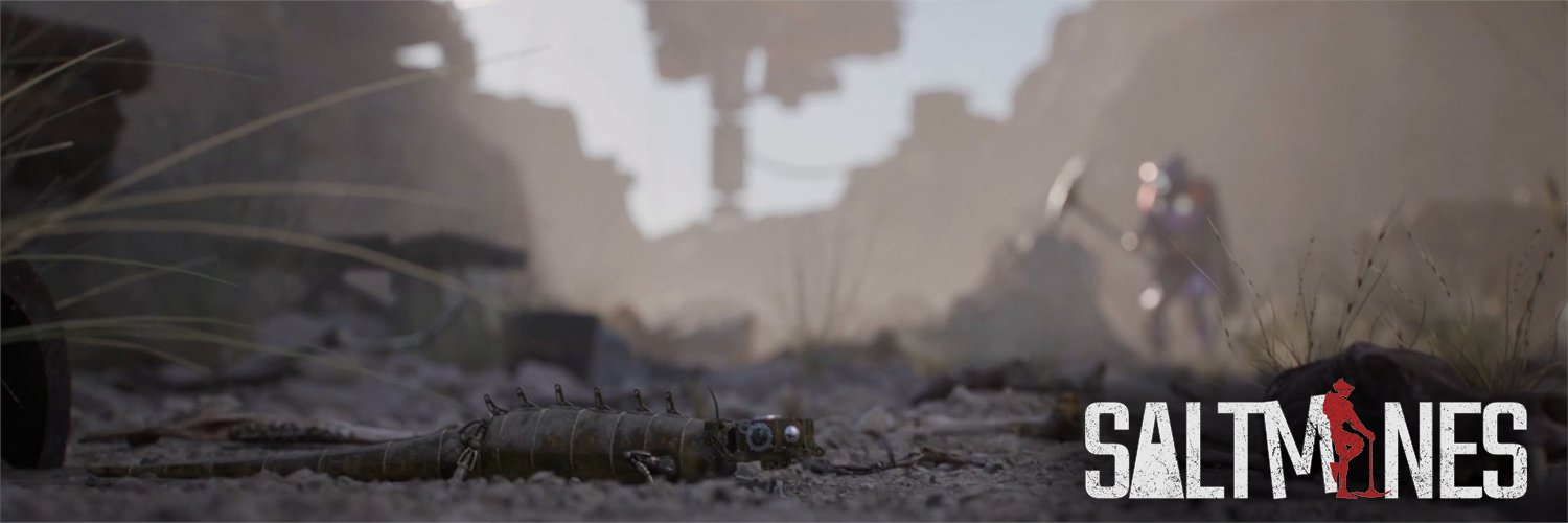 Saltmines banner