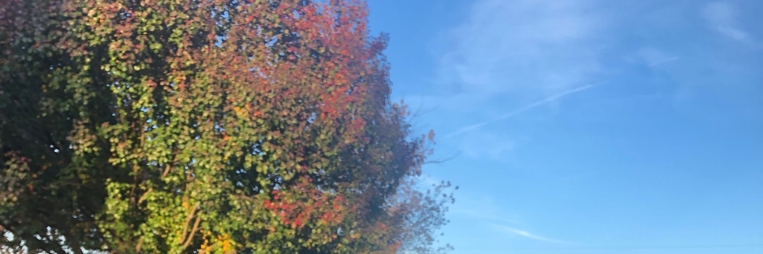 Jennifer Neugin banner