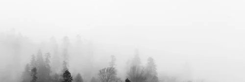 DYLAN.M🩹 banner