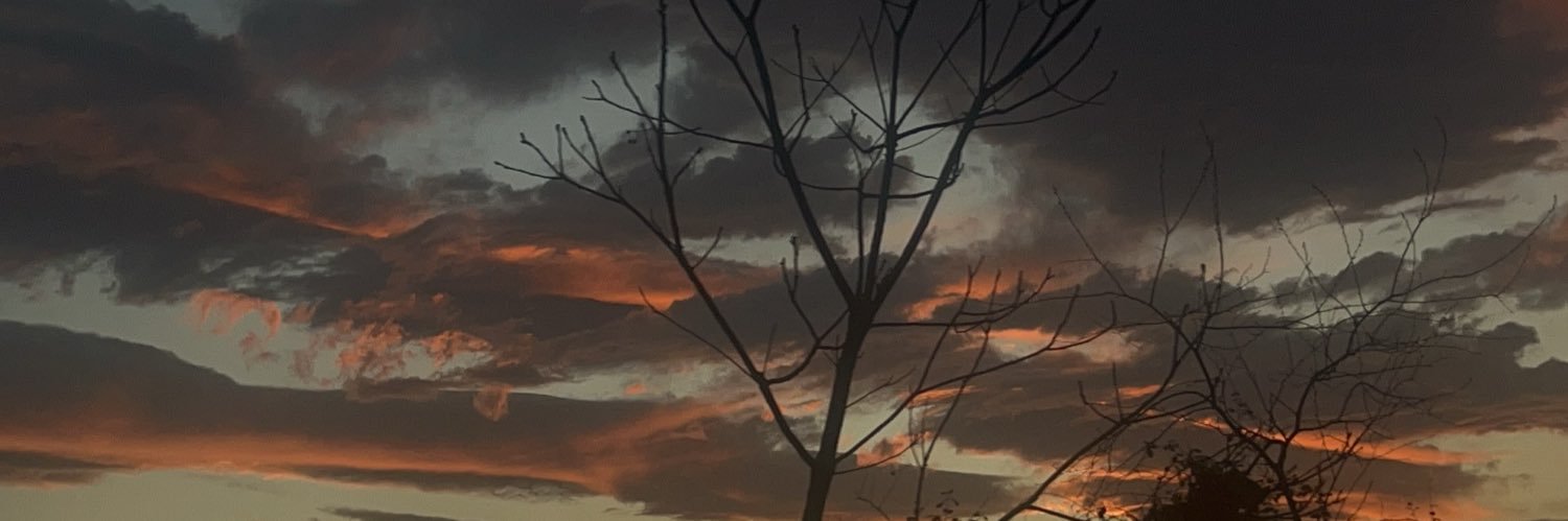 Niki banner