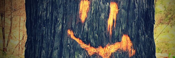 Scarebear Profile Banner