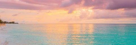 noppamint's profile banner image