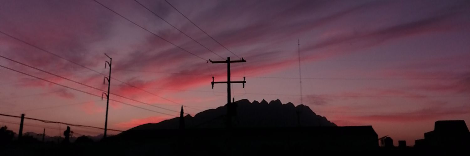 Neniss banner