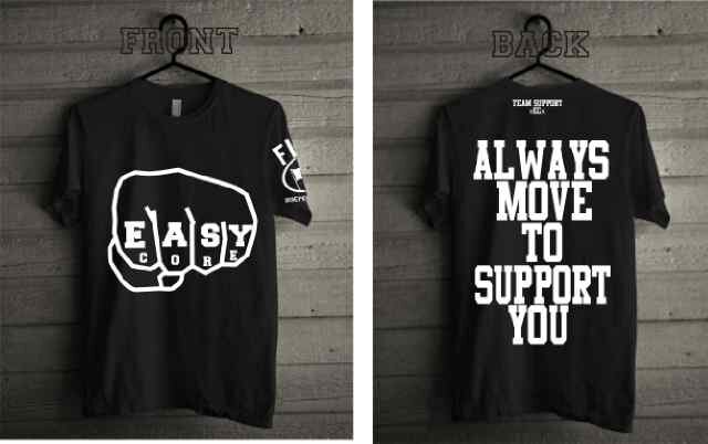 Easycore TeamSupport banner