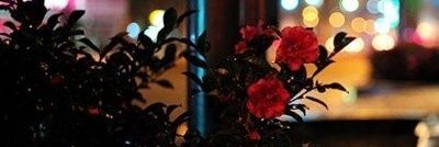 uzakyolllar's profile banner image