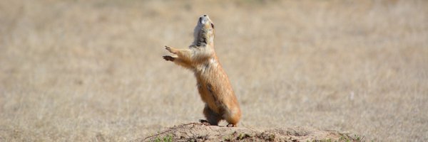 YoMelToo Profile Banner