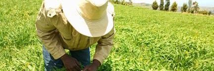 Scientific Farmer banner