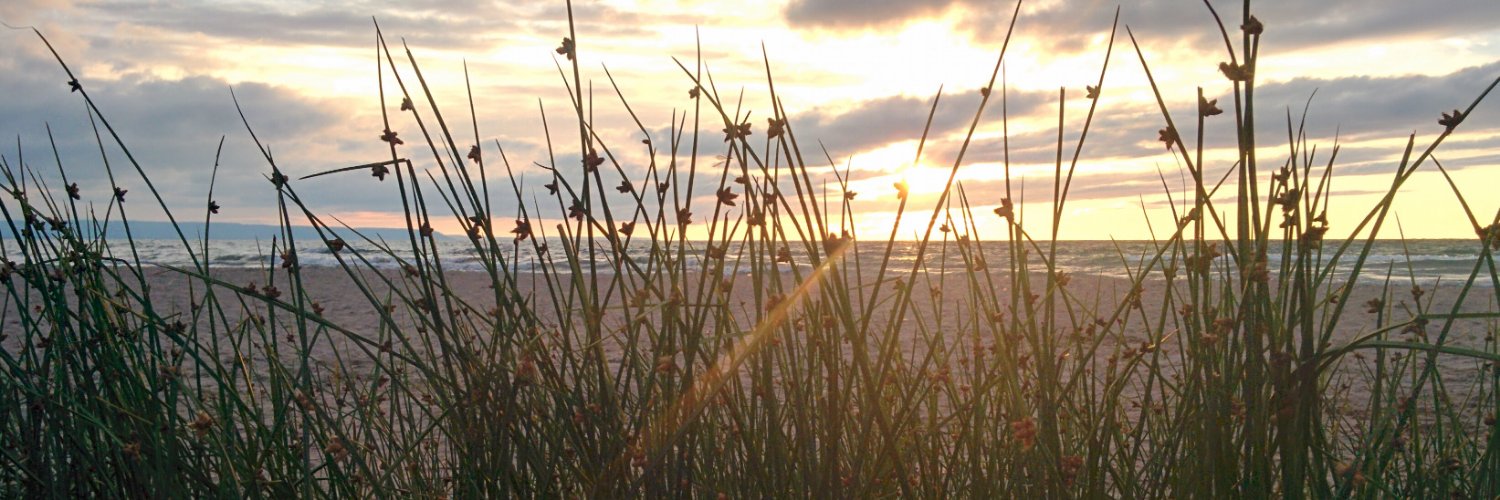 Neil Goldsworthy banner