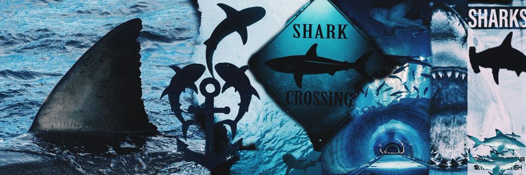 theestrabao's profile banner image