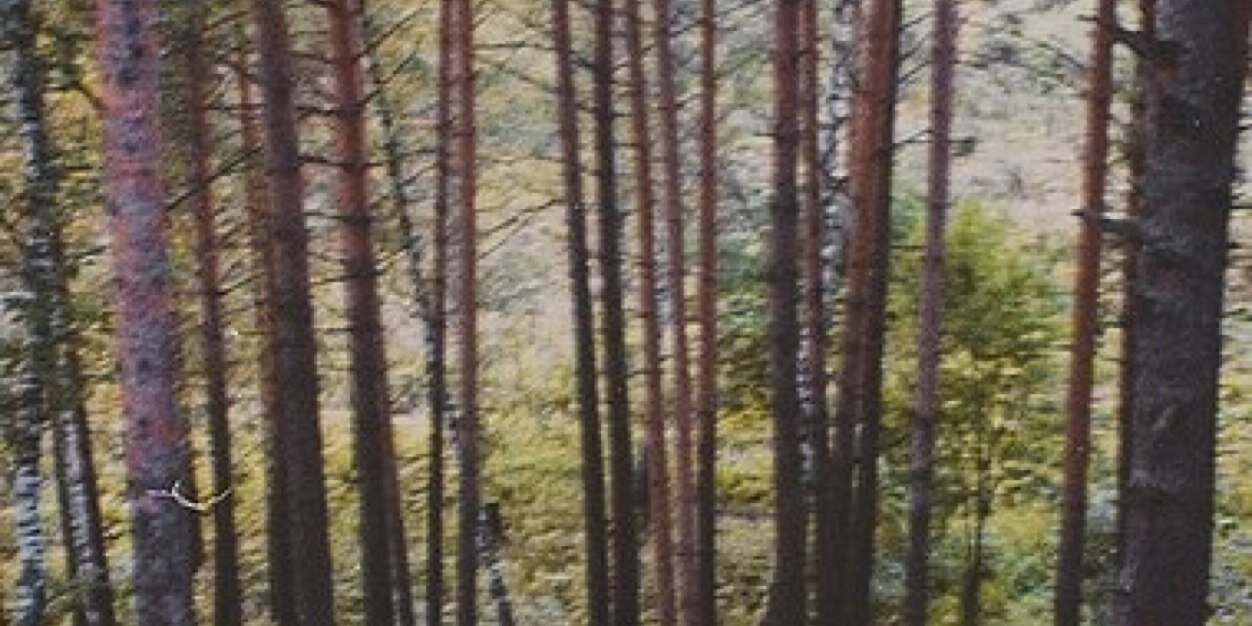 dpetlin's profile banner image