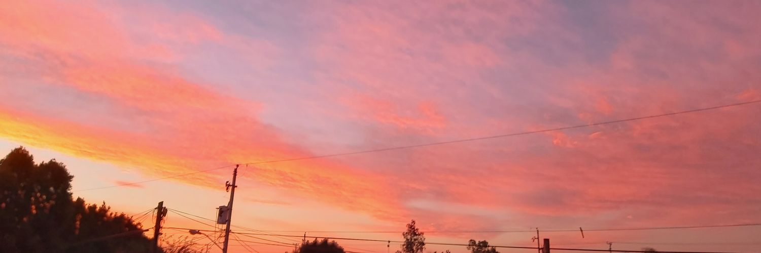 AdriadnePonce's profile banner image