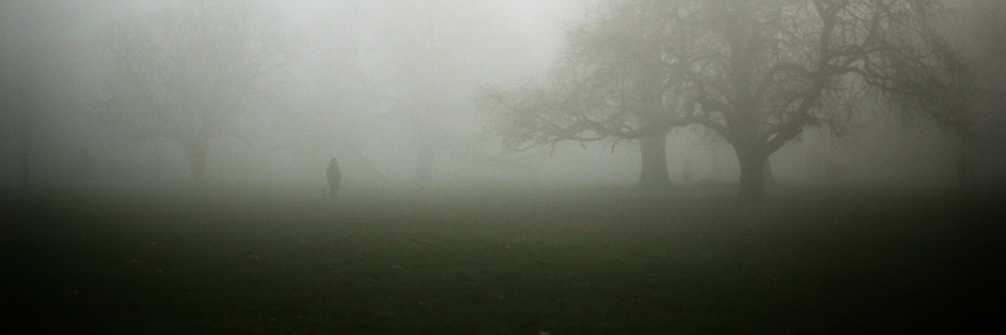 Duncan Stingemore banner