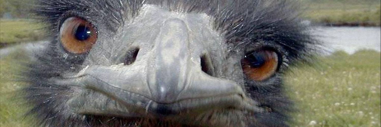 TheRealBig_C's profile banner image
