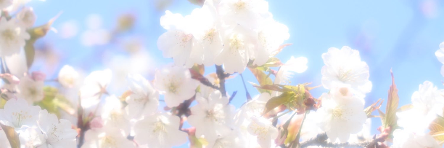 chocolate_0815's profile banner image